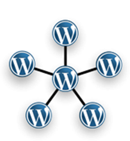 wordpress multisite network